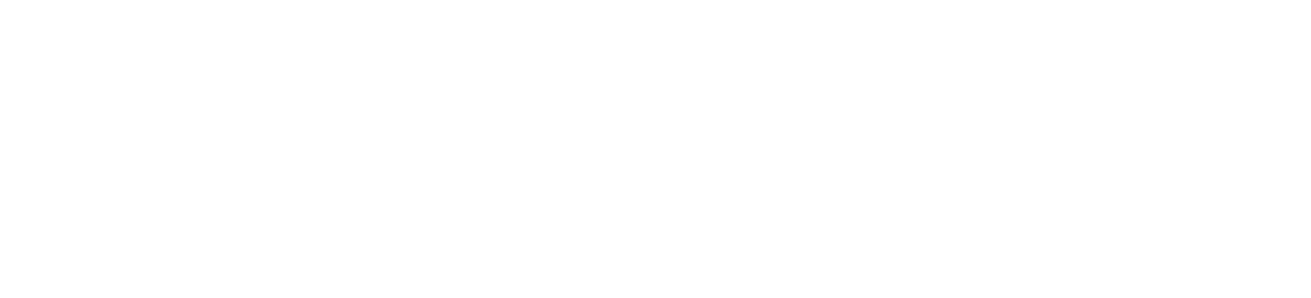 Secondary Logo